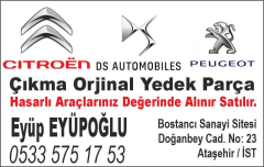 Eyup Oto Cikma Peugeot Citroen Yedek Parca Logosu