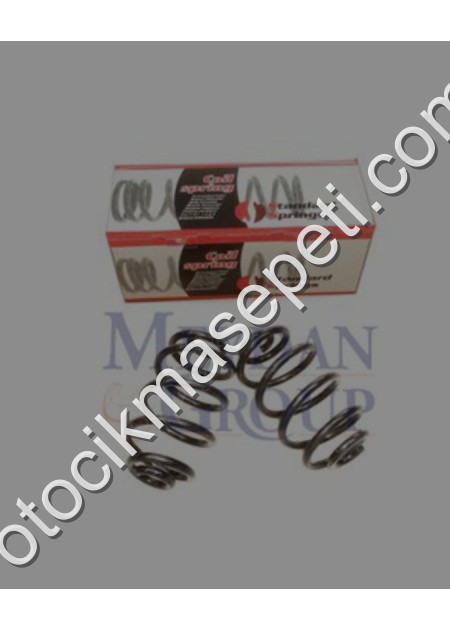Bmw 3 SerıE30 Arka Helezon Yayı Sağ/Sol Aynı 2Li Set 320I/323I/32 - BMW Çıkma Parça