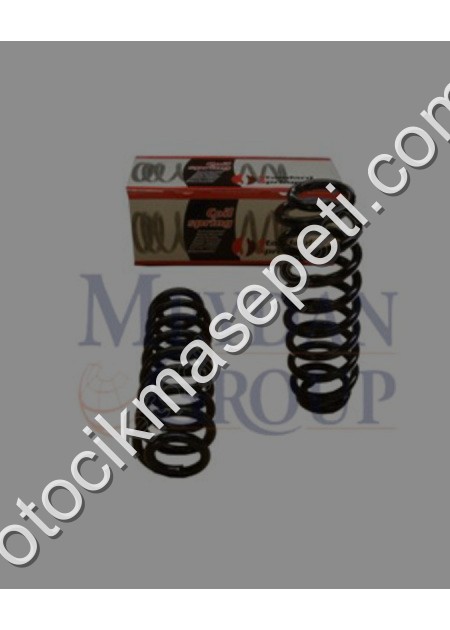 Volkswagen Caddy Arka Helezon Yayı Sağ/Sol 2Li Set 1 6/1 9Cc 14X1