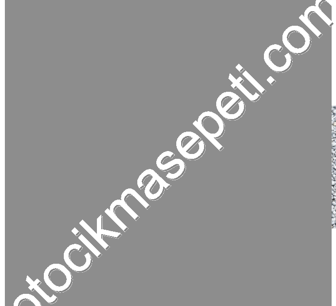 MEGANE 4 IV ON TAMPON ALT MUHAFAZA 2020-