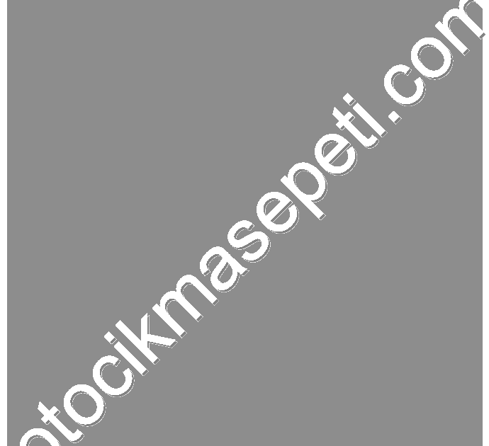 MEGANE 4 IV DIŞ PANJUR NİKELAJ ÇITALI (7 ÇITALI) 2015